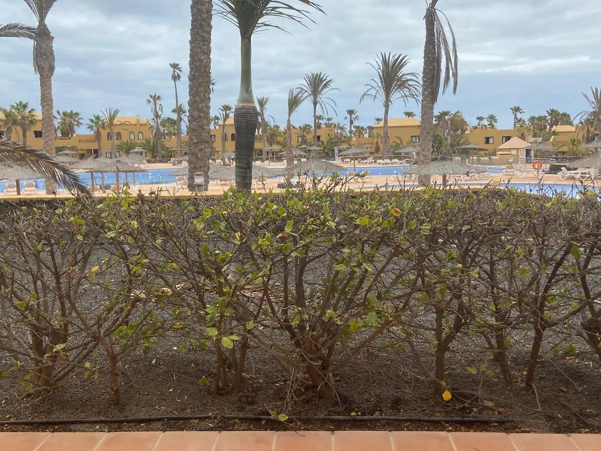 Apartment Oasis Papagayo Apartamentos Corralejo
